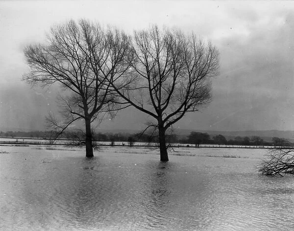 Flooded landscape at Pulborough, c1930