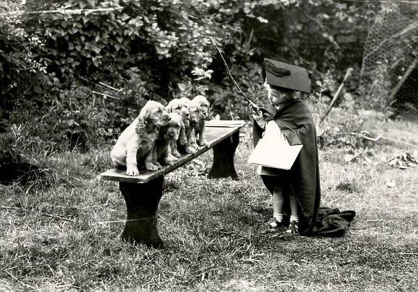 'Henry, may I please have your attention!'- 31 May 1948