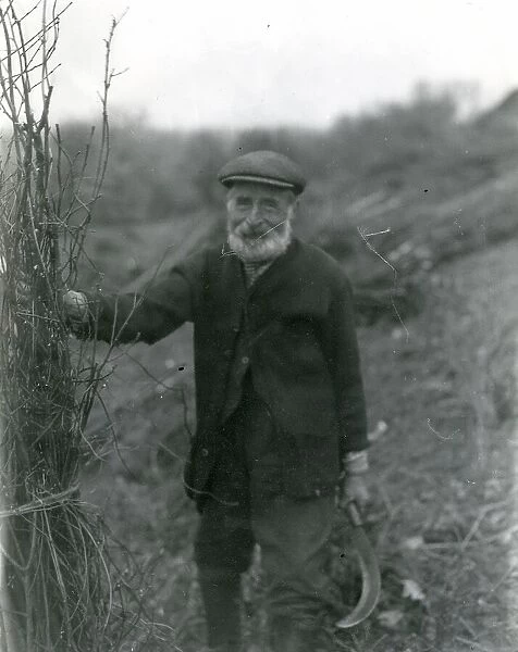 Jimmy Whittington, Little River Farm [with bill-hook cutting faggots], February 1934