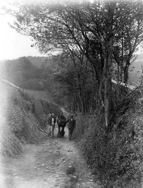 A man with two horses in a country lane near Bignor, 1934