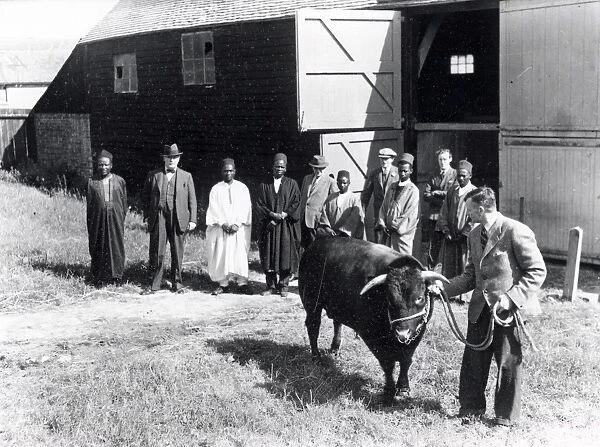 Nigerian Visitors to Stag Park, Petworth - 11 August 1946