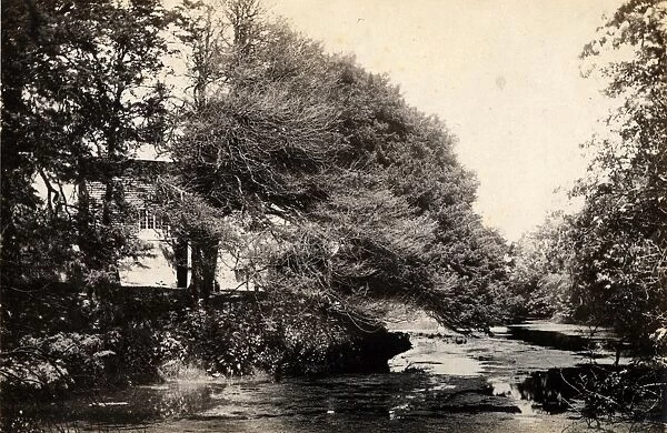The mill pond at Plumpton Place, 22 June 1894
