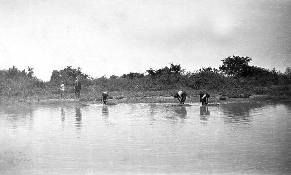 RSR 2  /  6th Battalion, Washing Grasses, near Bangalore, 1916