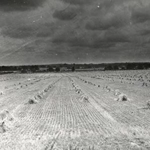Farmland at Harvest time - August 1943