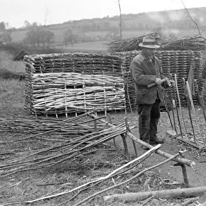 Mr Snow hurdle-making, April 1925