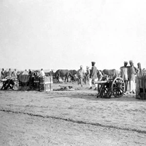 RSR 2 / 6th Battalion, 23rd Peshawar Mountain Battery, North-West Frontier