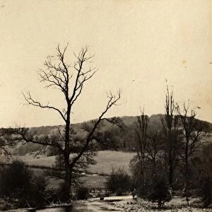 The Steyning countryside, 16 April 1891