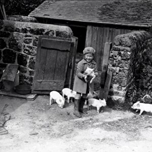 Young girl with piglets - May 1938