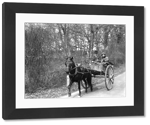 Elderly couple riding down a country lane in a pony and trap at Lurgashall, March 1934