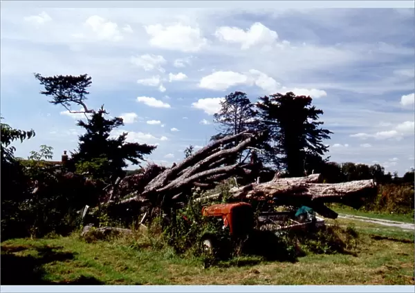 An old Ferguson tractor rusts under a fallen tree at Stansted after the Great Storm of 1987