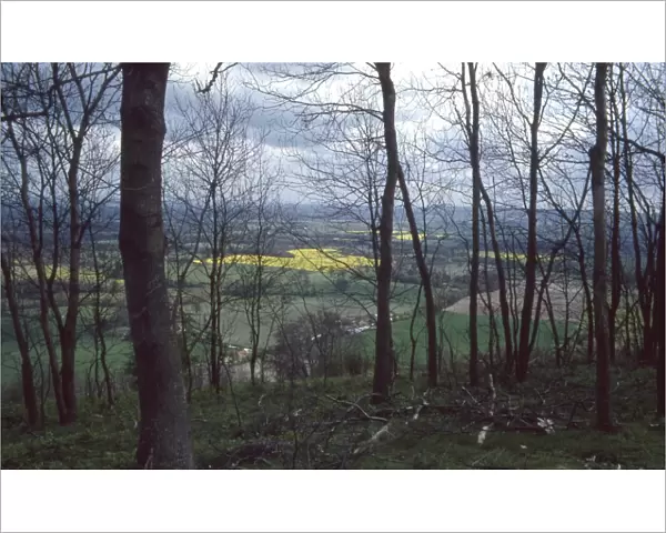 View looking north from Chanctonbury Ring, near Steyning