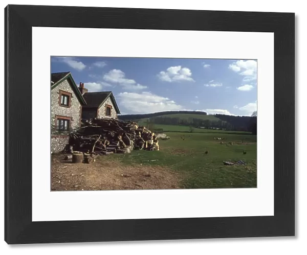 Cottage with wood stack, Stoughton, near Chichester