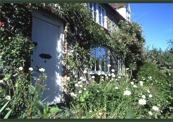 A cottage garden in East Dean, West Sussex