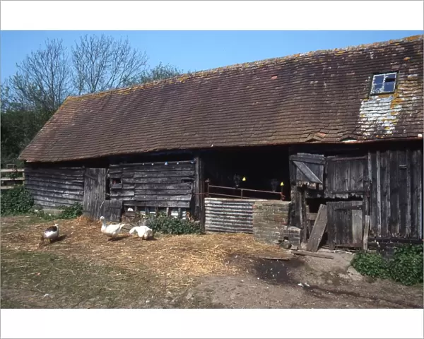 Wooden barn at Selscombe Farm, Fox Hill near Petworth, West Sussex