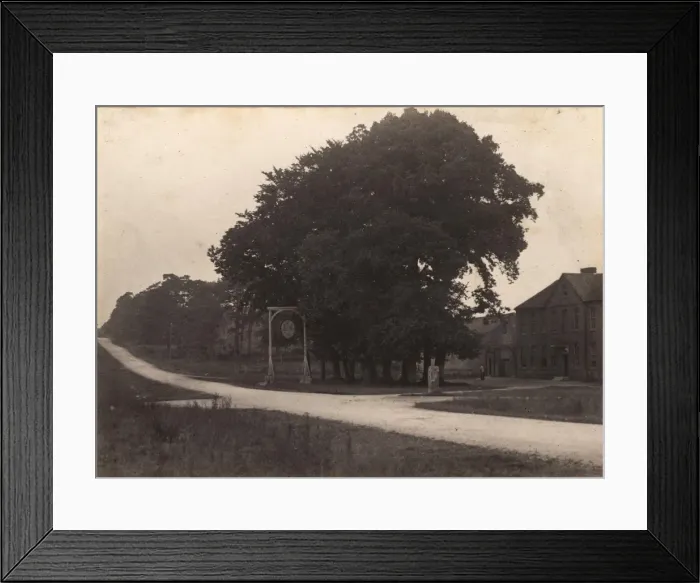 Framed Print : Sheffield Green, 1906 Framed Print : Sheffield Green, 1906