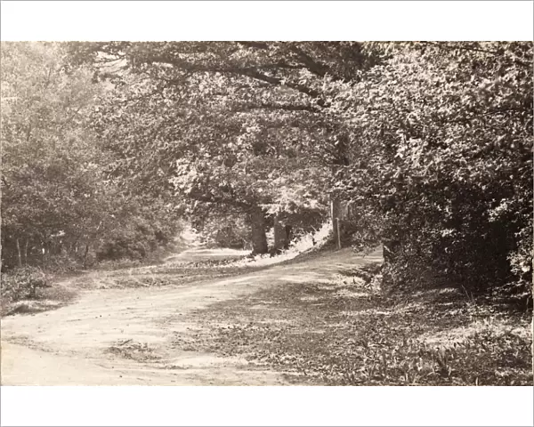 Forest Row, 1906