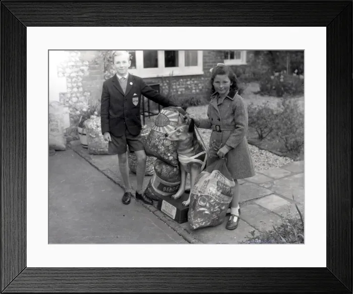 Framed Print : Dogs for the Blind, 1965 Framed Print : Dogs for the Blind, 1965