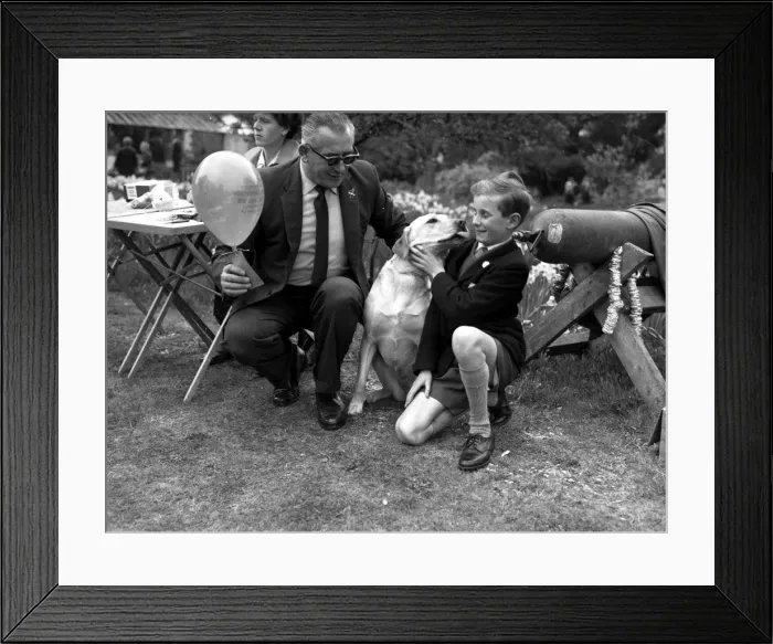 Framed Print : Dogs for the Blind, 1965 Framed Print : Dogs for the Blind, 1965