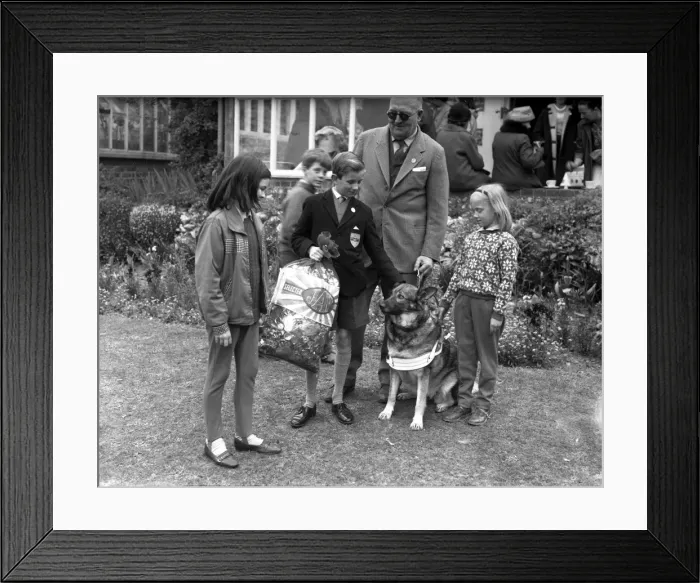 Framed Print : Dogs for the Blind, 1965 Framed Print : Dogs for the Blind, 1965