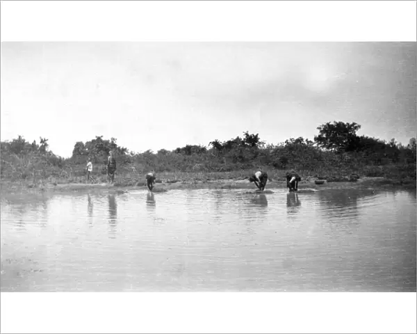 RSR 2  /  6th Battalion, Washing Grasses, near Bangalore, 1916