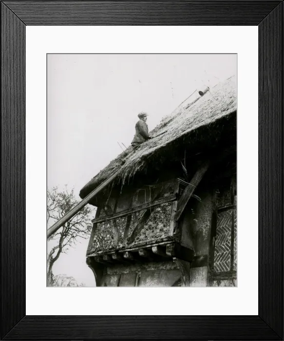 Framed Print : Roof thatching on Bignor General Shop, February 1938 Framed Print : Roof thatching on Bignor General Shop, February 1938