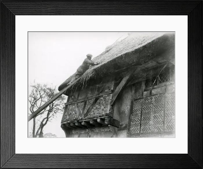 Framed Print : Thatching Bignor General Shop roof, February 1938 Framed Print : Thatching Bignor General Shop roof, February 1938