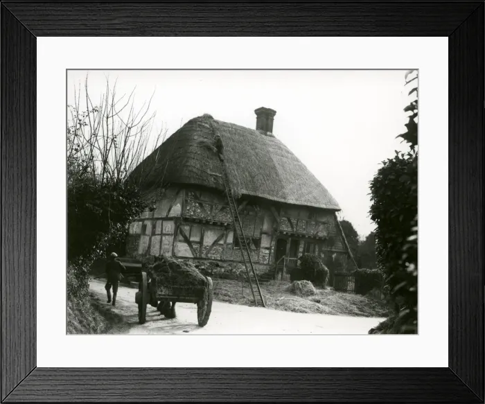 Framed Print : Bignor General Shop with thatcher and horse and cart, February 1938 Framed Print : Bignor General Shop with thatcher and horse and cart, February 1938