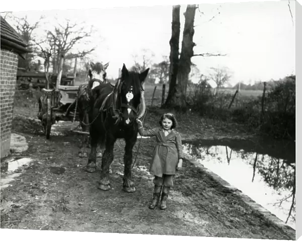 Young girl leading two horses and a cart, February 1938