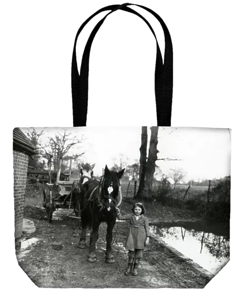 Young girl leading two horses and a cart, February 1938