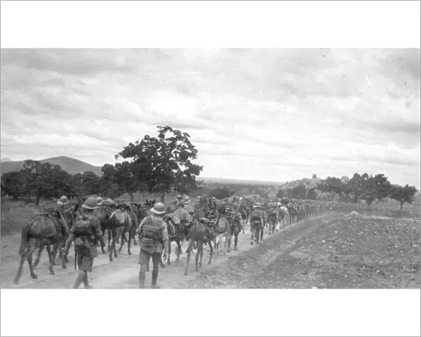 RSR 2  /  6th Battalion, 6th Royal Sussex on the March, India 1916