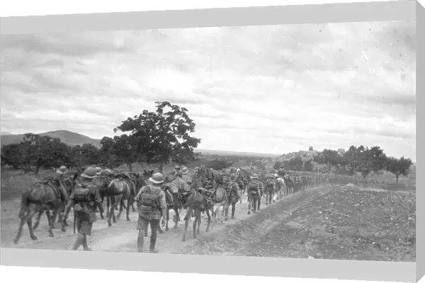 RSR 2  /  6th Battalion, 6th Royal Sussex on the March, India 1916