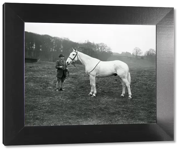 Rider with grey horse at Shillinglee, February 1938
