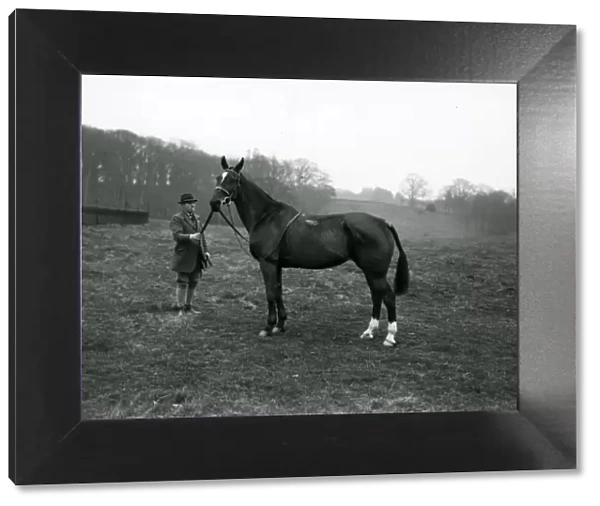 Rider with horse in a field at Shillinglee, February 1938