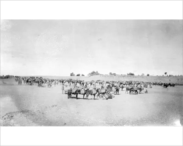 RSR 2  /  6th Battalion, Arrival at Camping Ground of 1st and 2nd Line Transports, 1917