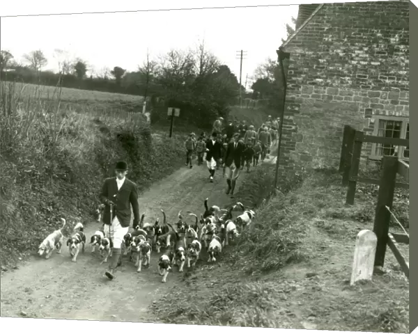 Storrington Beagles Meet, Fittleworth, March 1938