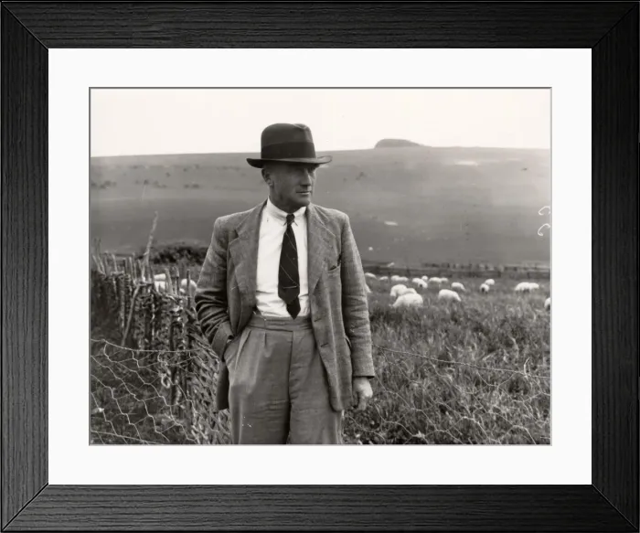 Framed Print : Winner of Southdown Flock Competition, 1938 Framed Print : Winner of Southdown Flock Competition, 1938