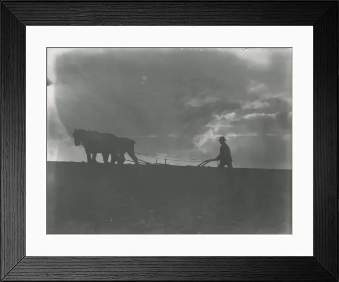 Framed Print : Ploughing a La Silhouette Framed Print : Ploughing a La Silhouette