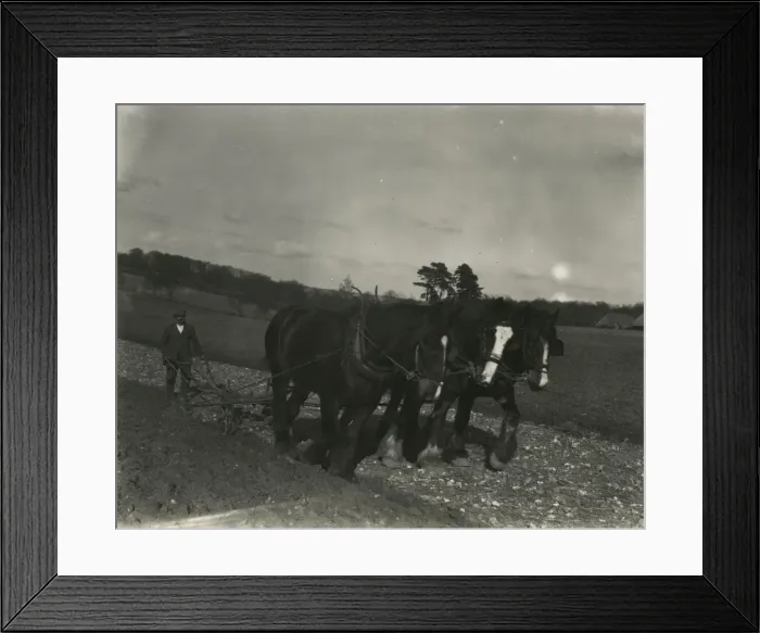 Framed Print : Ploughing ground at Poughley Farm Framed Print : Ploughing ground at Poughley Farm