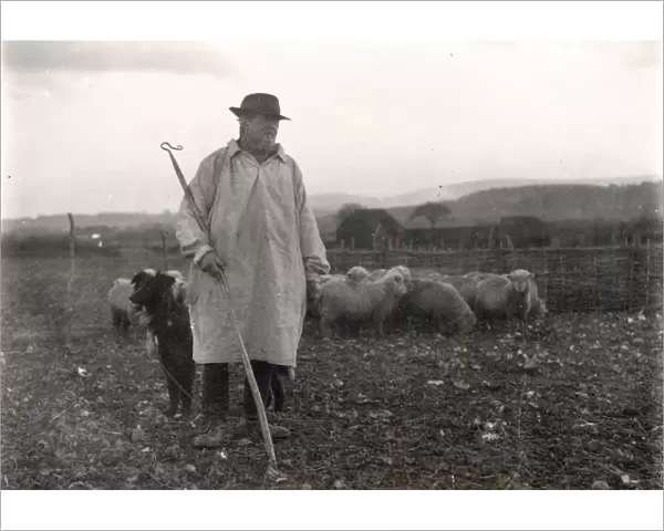 Shepherd wearing a smock with his dog and sheep, January 1925