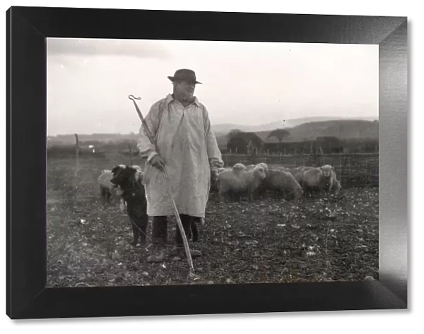 Shepherd wearing a smock with his dog and sheep, January 1925
