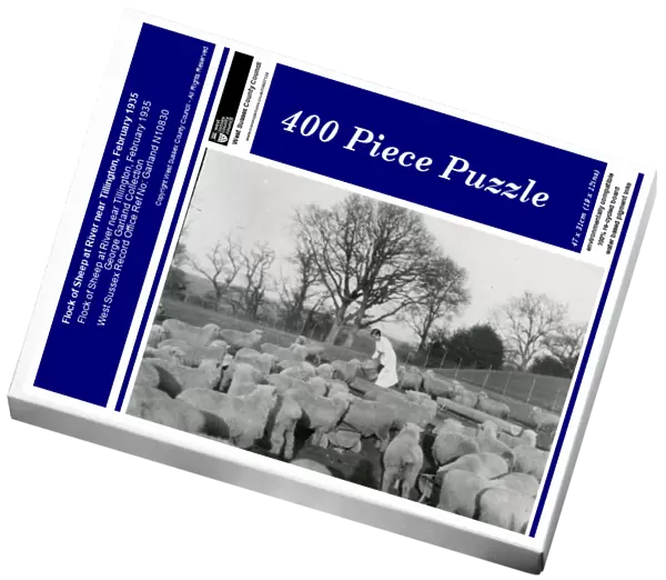 Flock of Sheep at River near Tillington, February 1935