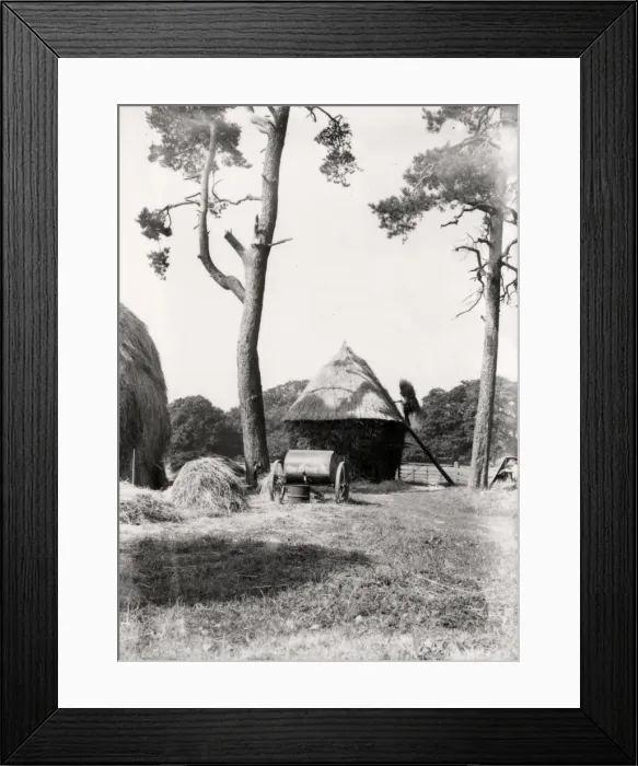 Framed Print : Thatching a rick at Cowdray, September 1939 Framed Print : Thatching a rick at Cowdray, September 1939