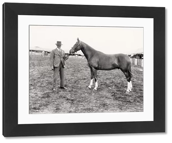A man with his prize-winning hunter at the Sussex Show, 1930