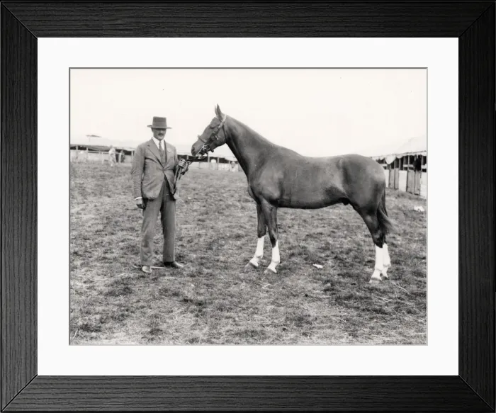 Framed Print : A man with his prize-winning hunter at the Sussex Show, 1930 Framed Print : A man with his prize-winning hunter at the Sussex Show, 1930