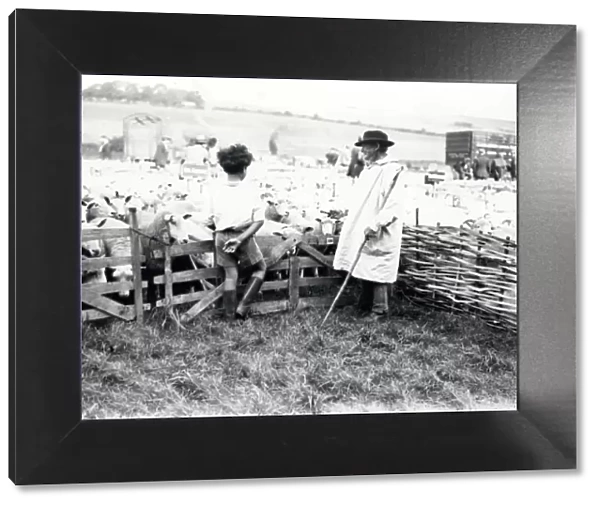 Findon Sheep Fair, September 1930