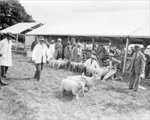 Sussex County Show at Chichester, 21 June 1933