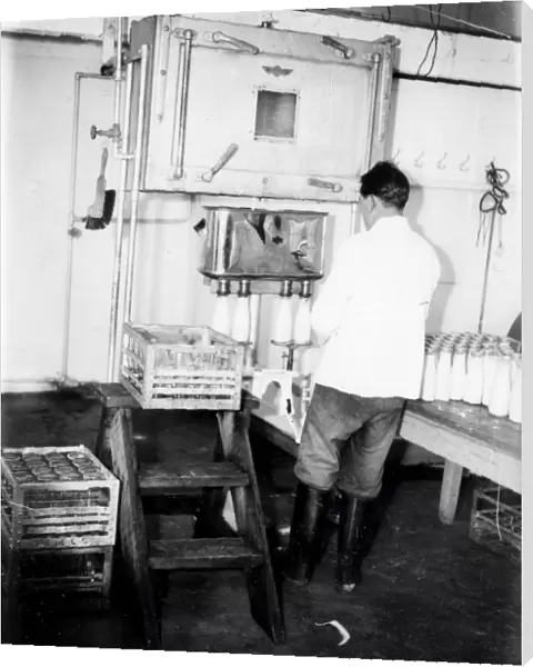 Shaxson Dairy at Elstead - June 1938