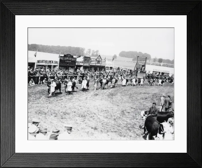 Framed Print : Sussex Show, Cowdray - 1938 Framed Print : Sussex Show, Cowdray - 1938
