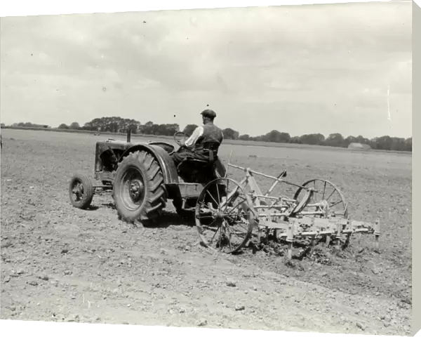 Littlehampton Agricultural Picture - about 1938