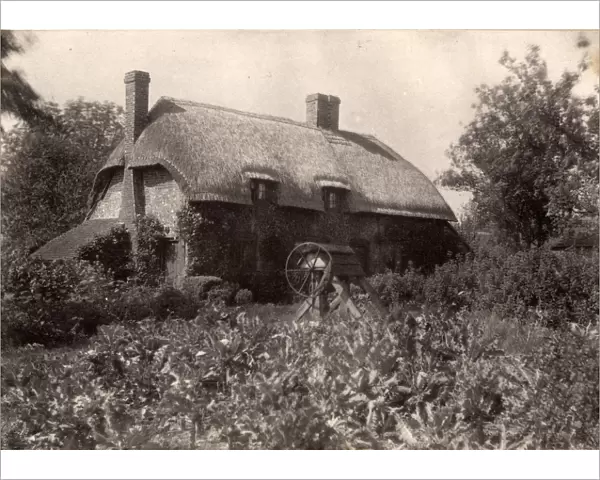 Forest Side: cottage, 1910